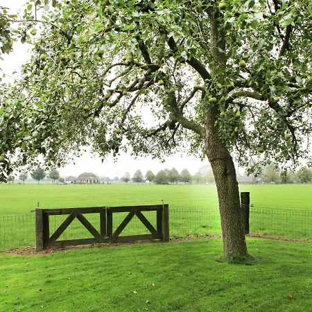 Spacious Farm In Bronckhorst With Private Garden 펜션 브롱호스트