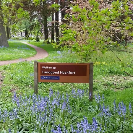 Holiday Home In Bronckhorst With Garden Bronkhorst